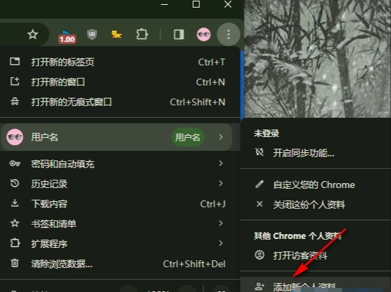 谷歌浏览器添加新的个人资料怎么操作4